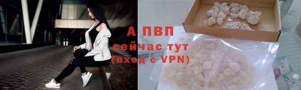 ГАЛЛЮЦИНОГЕННЫЕ ГРИБЫ Кулебаки