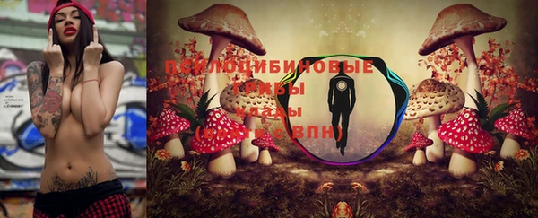 ГАЛЛЮЦИНОГЕННЫЕ ГРИБЫ Кулебаки