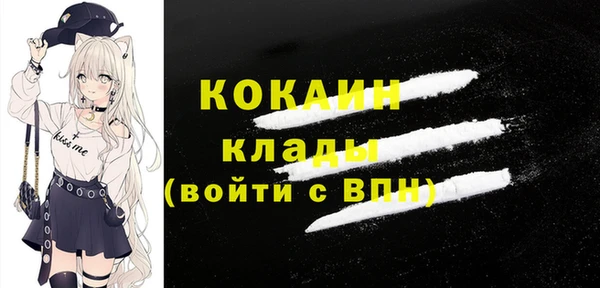 ГАЛЛЮЦИНОГЕННЫЕ ГРИБЫ Кулебаки