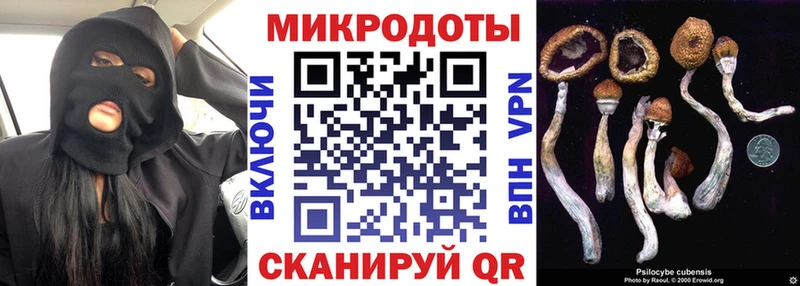 Псилоцибиновые грибы MAGIC MUSHROOMS  Тамбов 