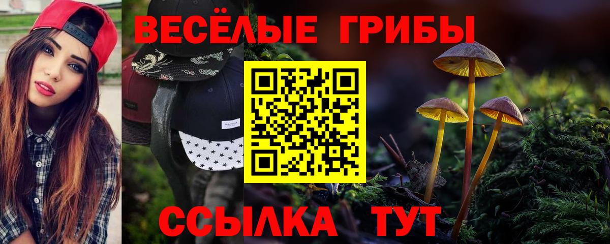 Галлюциногенные грибы GOLDEN TEACHER Тамбов